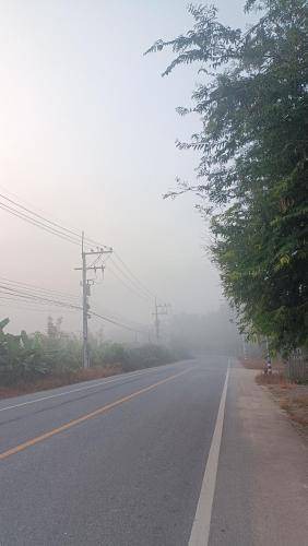 Photo of Others in Lamphun