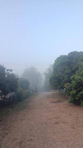 Photo of Others in Lamphun