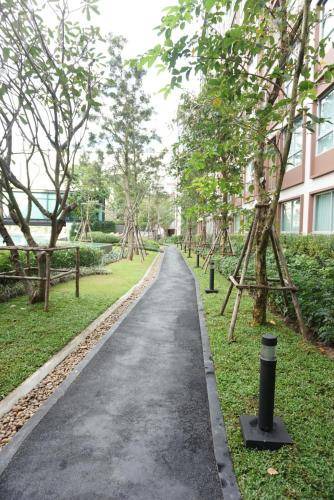 Photo of Outdoor in Chiang Mai