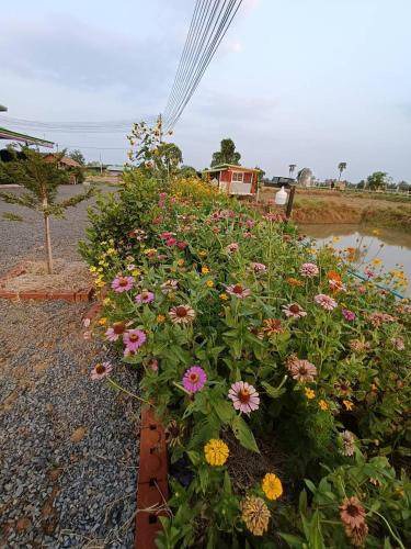 Photo of Others in Buriram