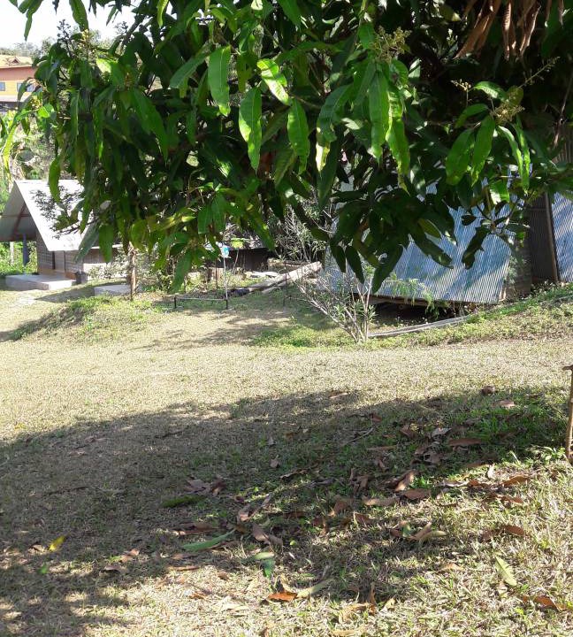 Photo of Others in Pai