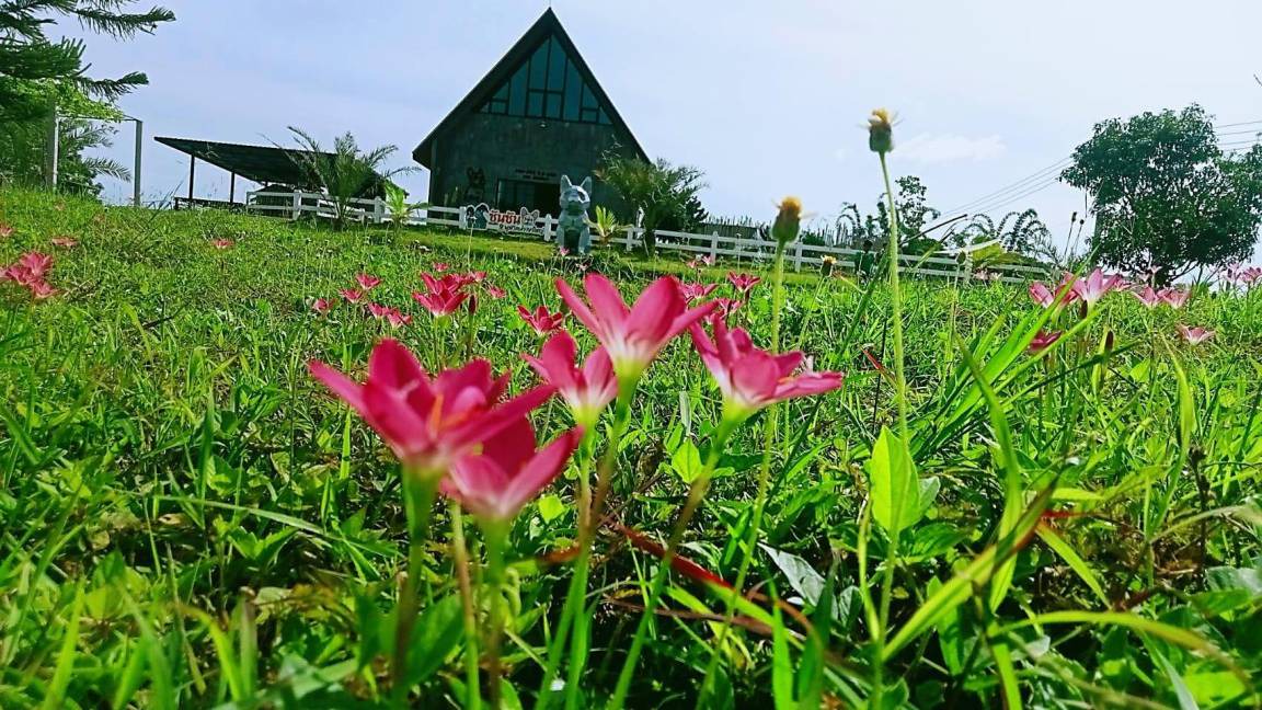 Photo of Others in Pong Ta Long