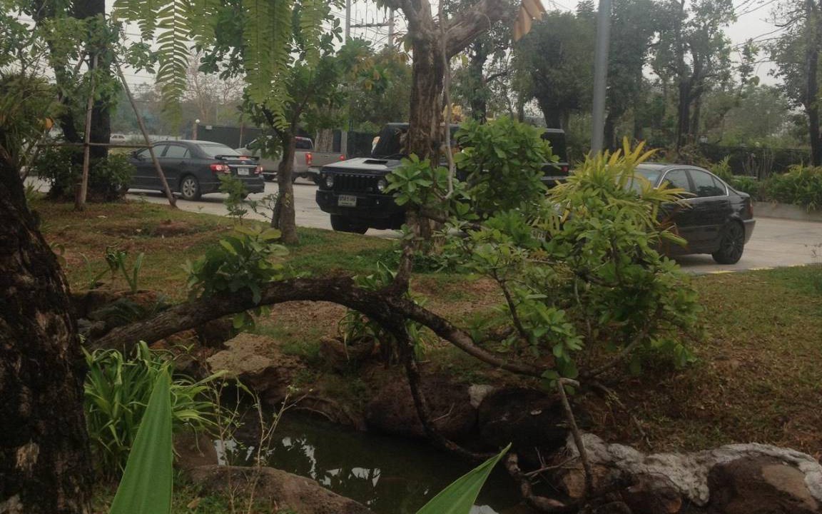 Photo of Others in Nakhon Ratchasima