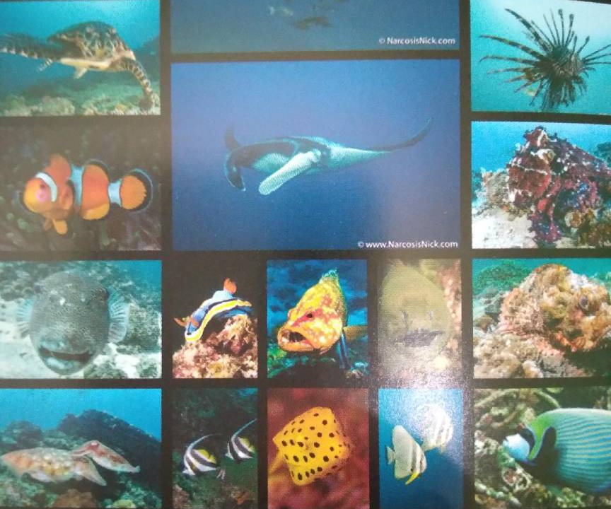 Photo of Others in Ko Lanta