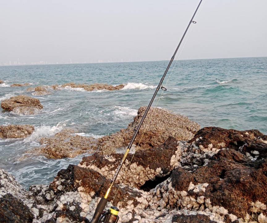 Photo of Others in Koh Lan