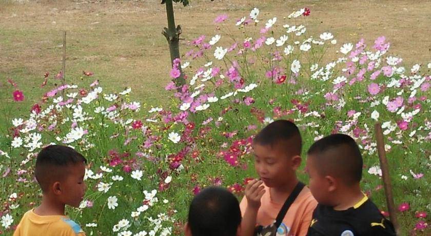 Photo of Others in Huai Makhuea Som