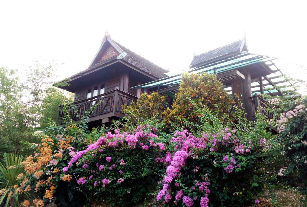 Photo of Others in Mae Rim
