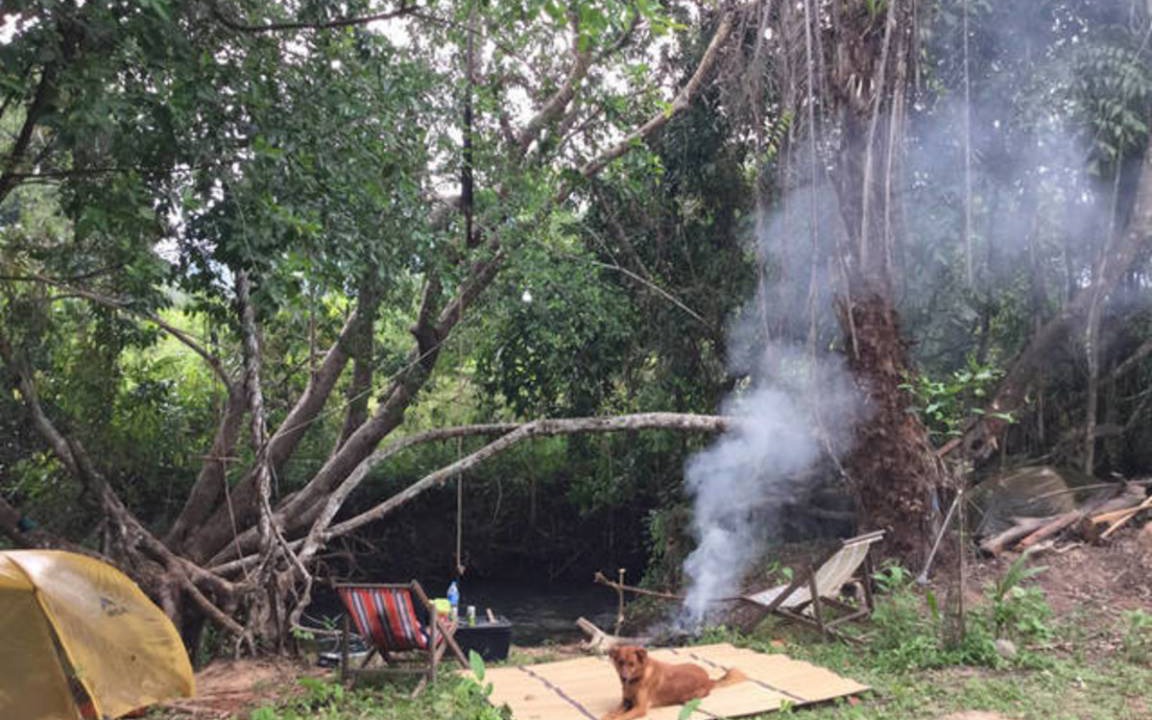 Photo of Others in Krabi