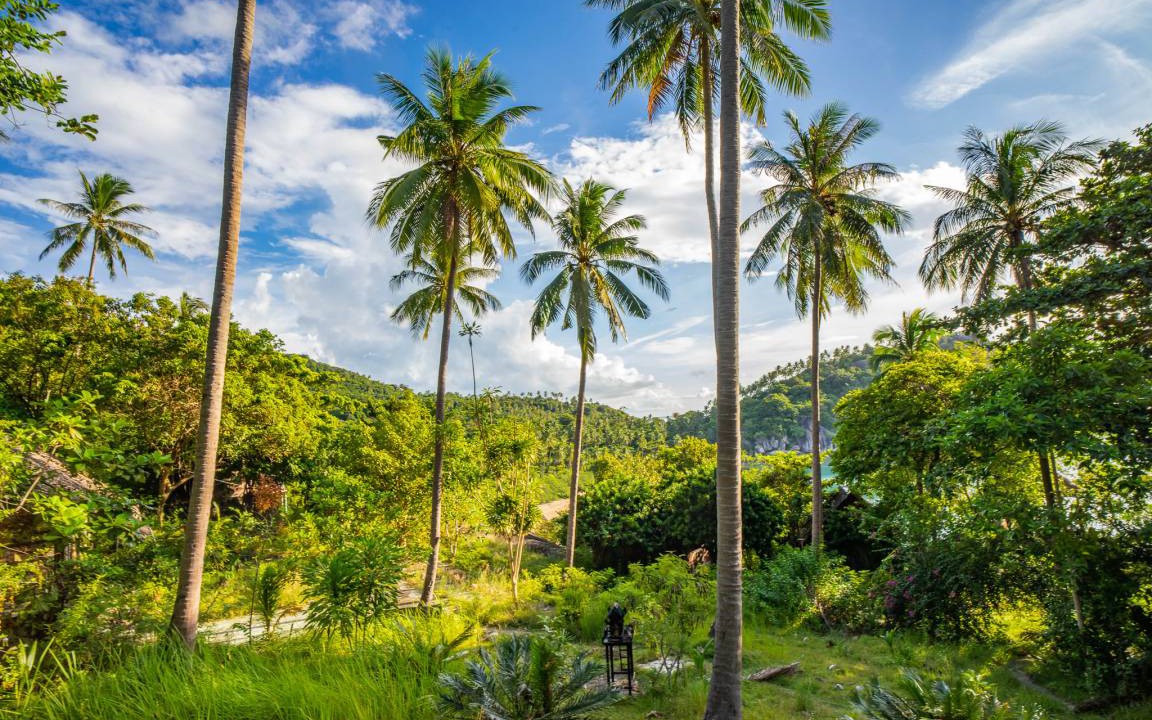 Photo of Others in Ko Pha-ngan