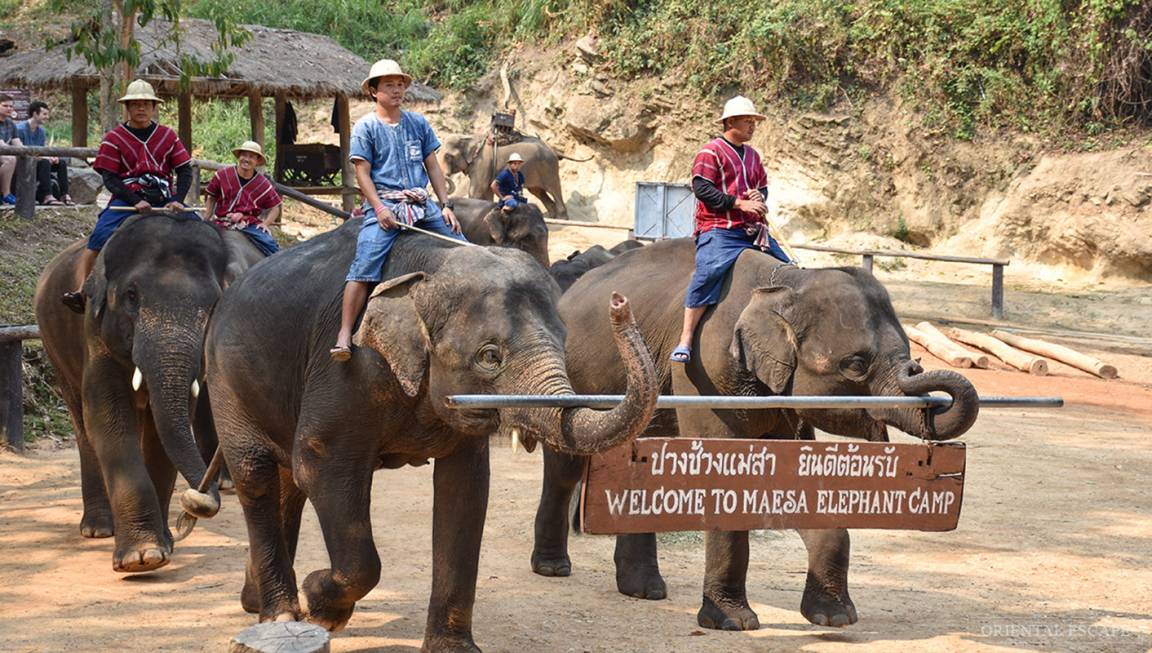 Photo of Others in Mae Rim