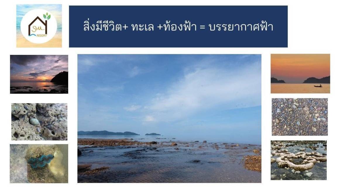 Photo of Human In Picture in Laem Ngop
