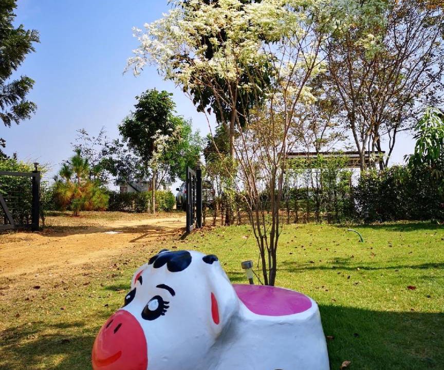 Photo of Others in Pong Ta Long