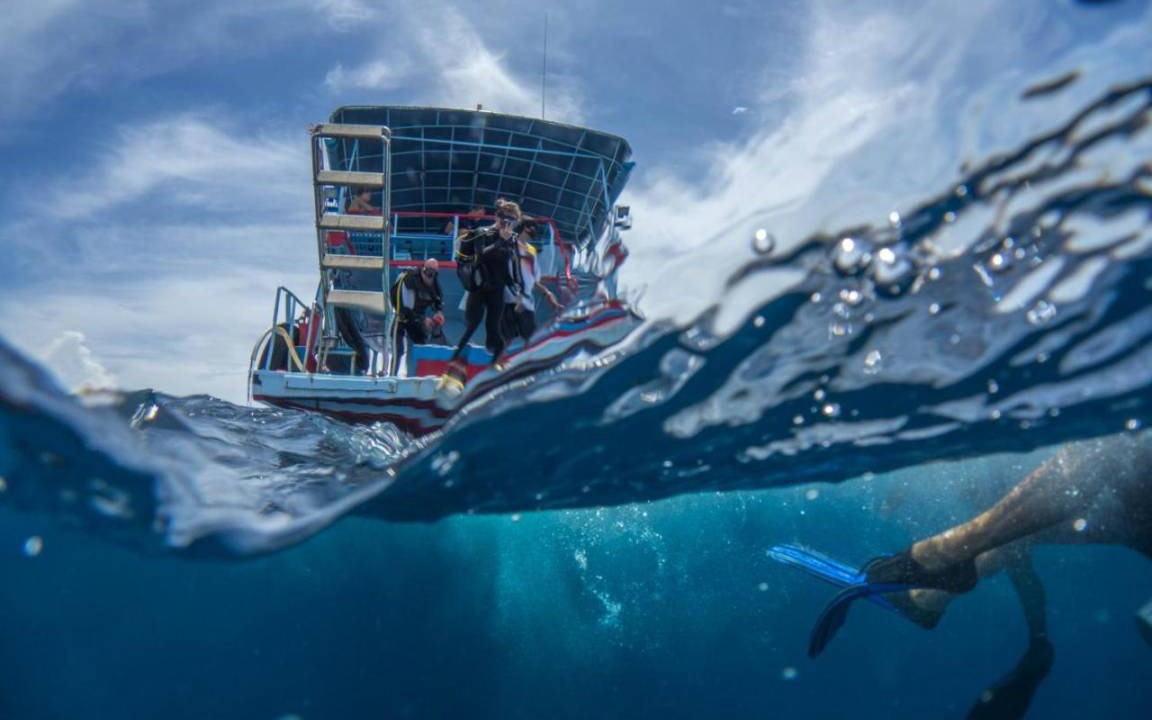 Photo of Others in Koh Tao