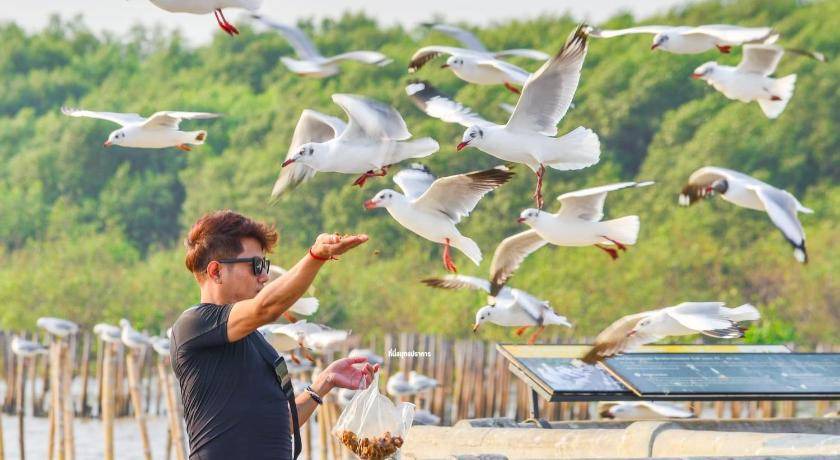 Photo of Human In Picture in Mueang Samut Prakan District
