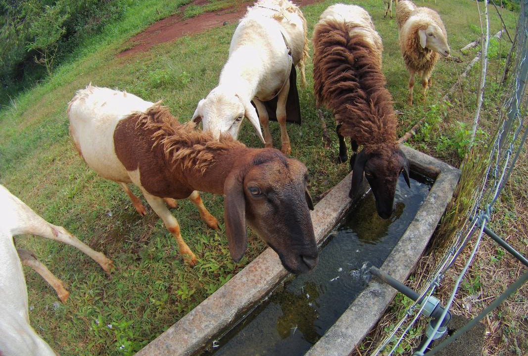 Photo of Others in Khlung