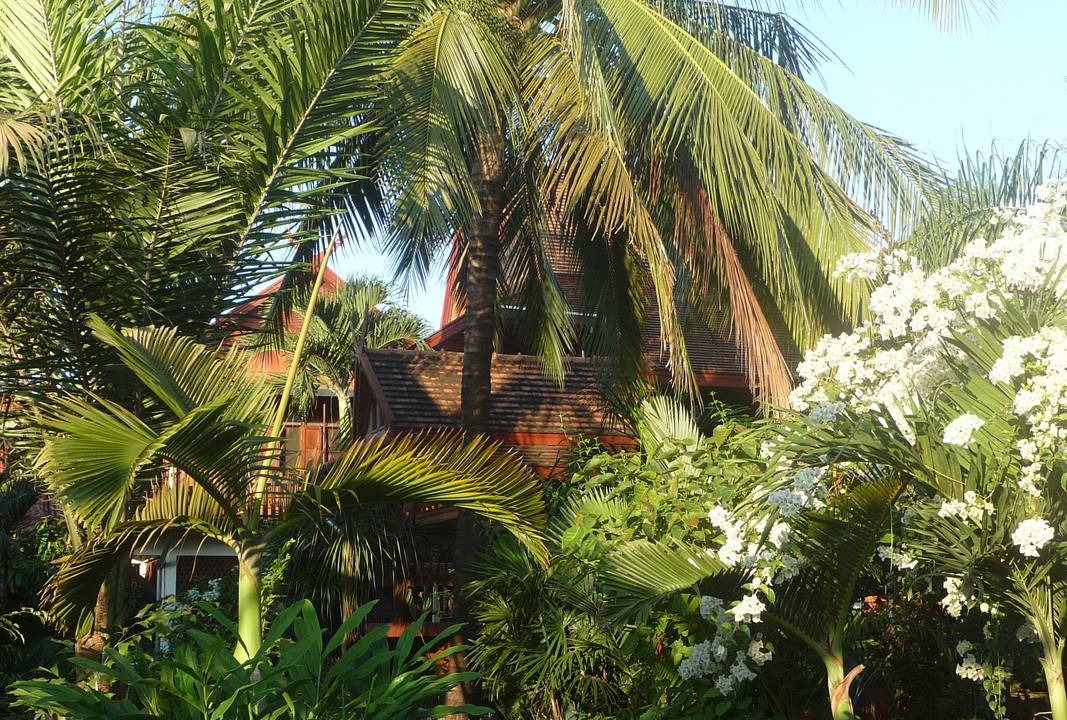 Photo of Others in Saraphi