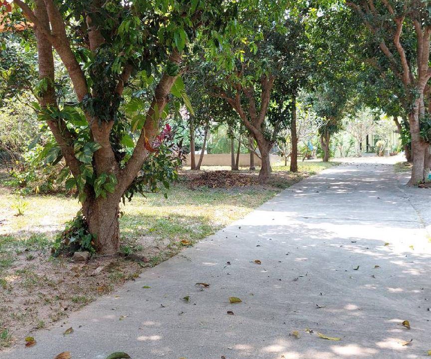 Photo of Outdoor in Plai Laem