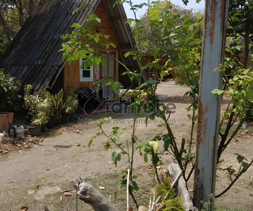 Photo of Others in Pai