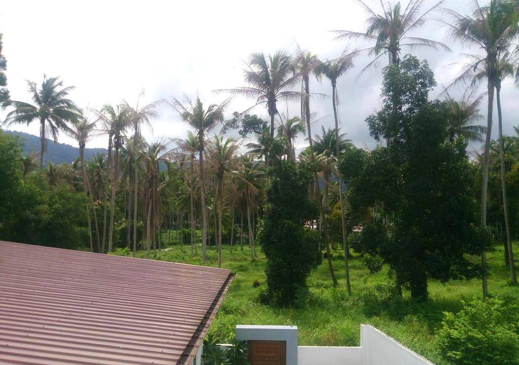 Photo of Others in Lamai