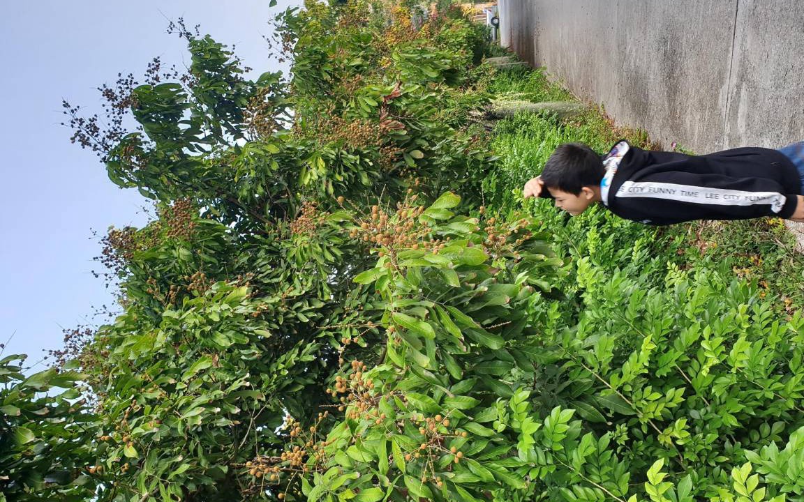 Photo of Outdoor in Hang Dong