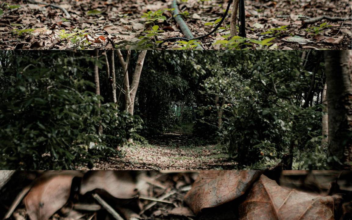 Photo of Others in Khanong Phra