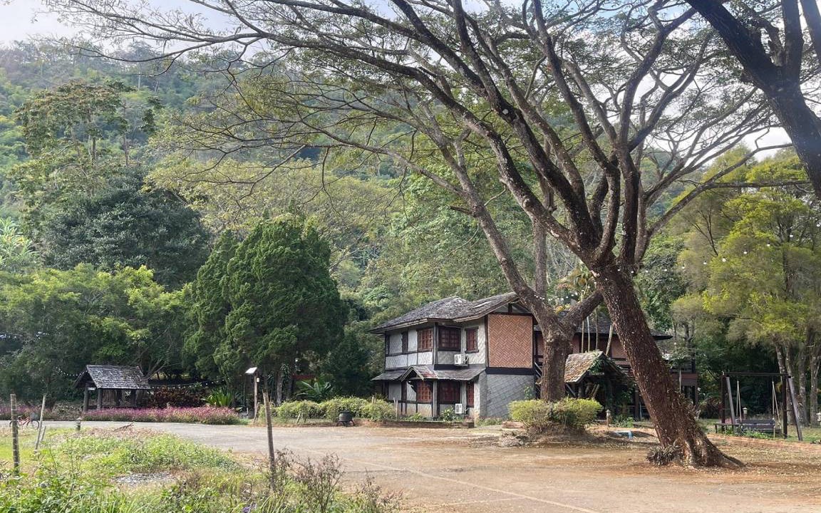 Photo of Others in Pong Yaeng