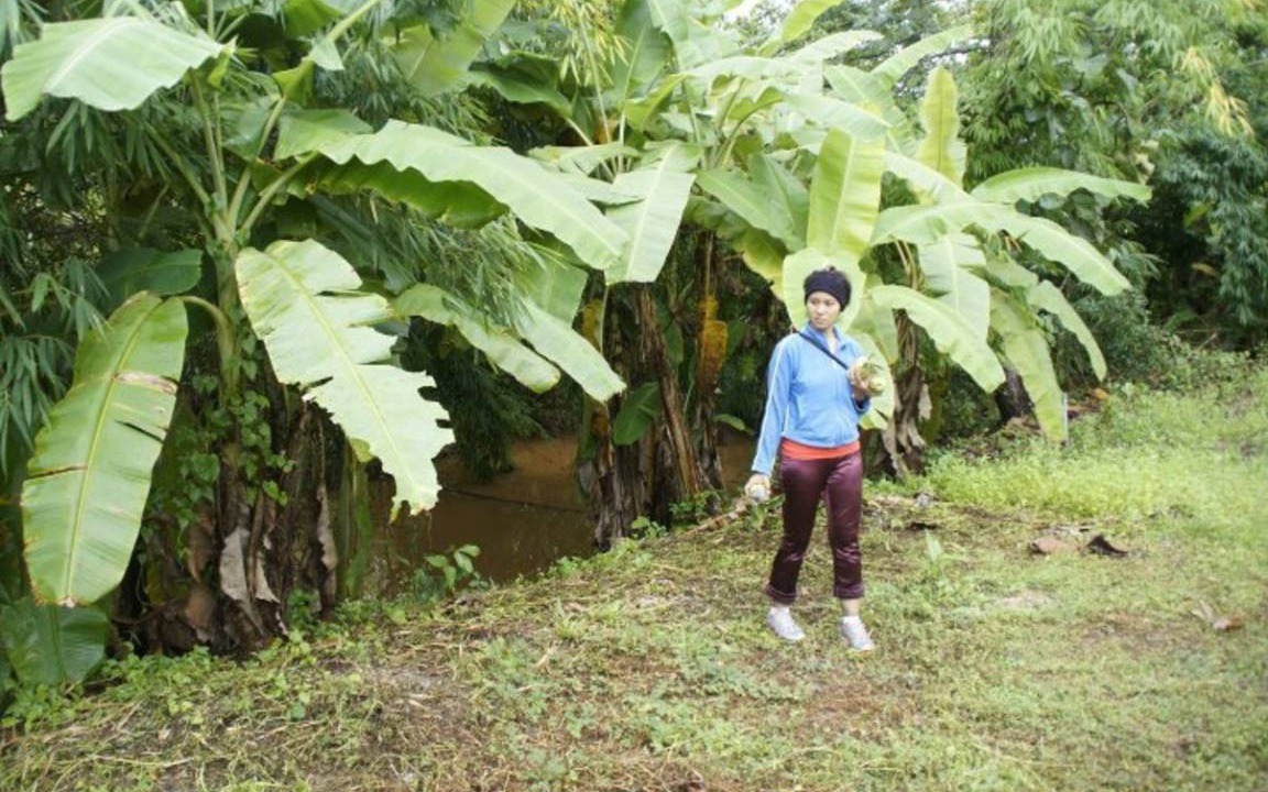 Photo of Others in Huai Sai
