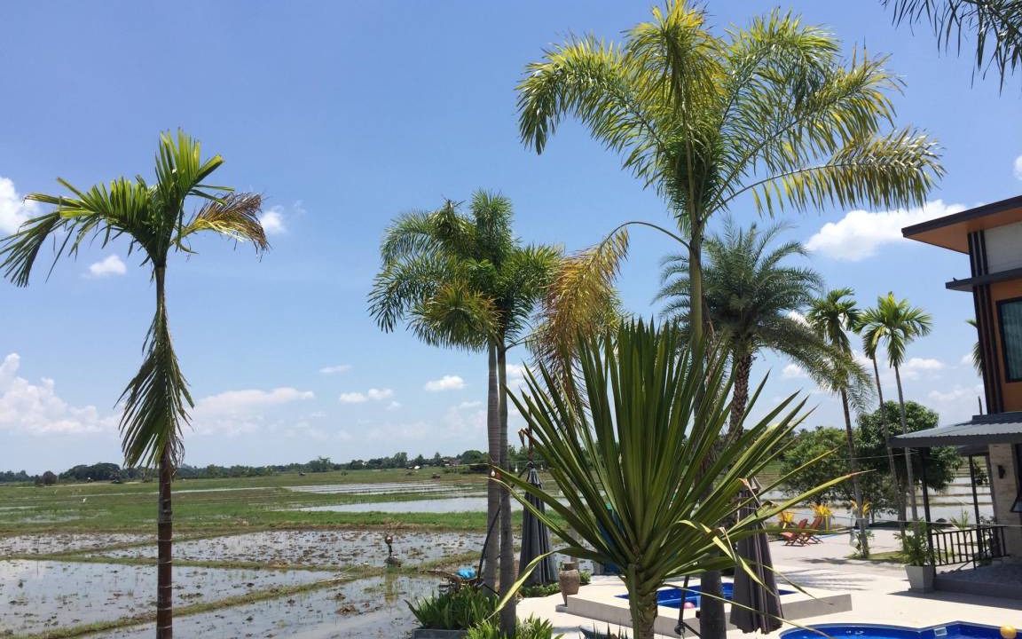 Photo of Others in Luang Nuea