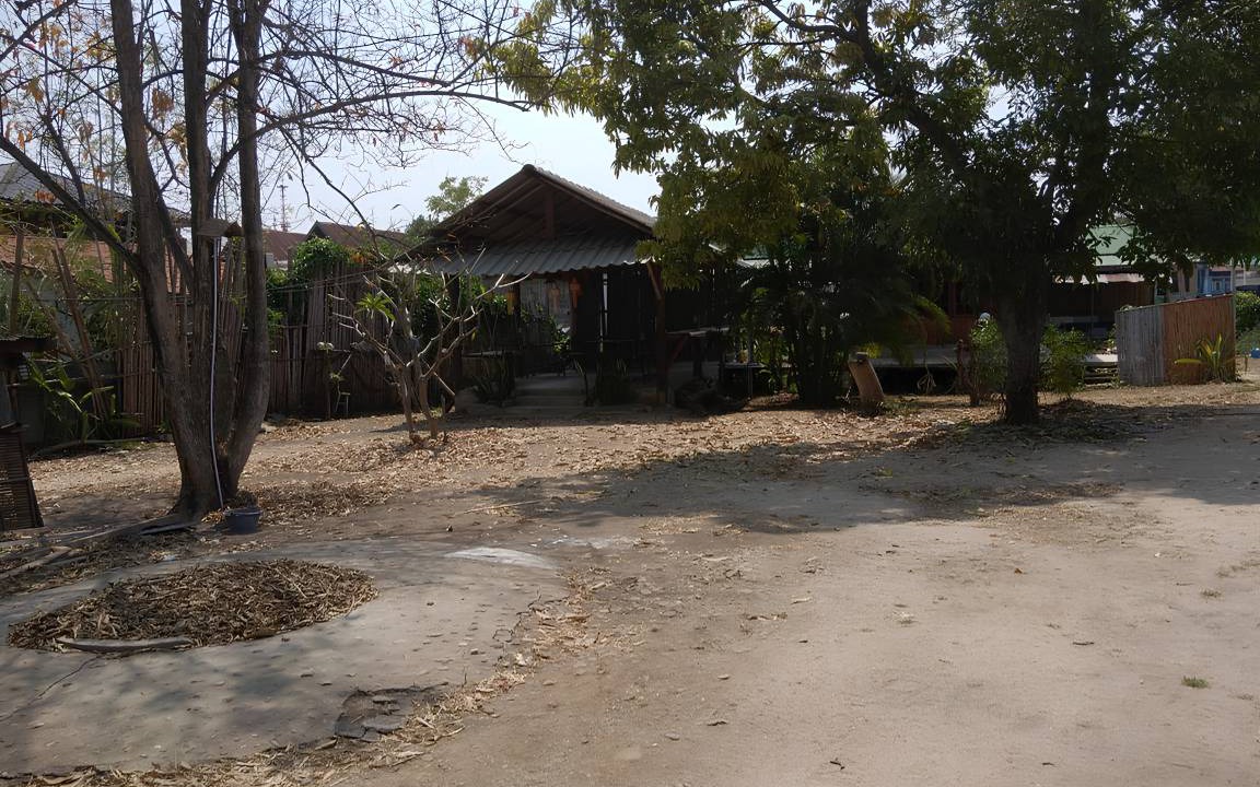Photo of Others in Pai