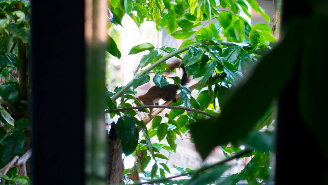 Photo of Others in Phra Nakhon