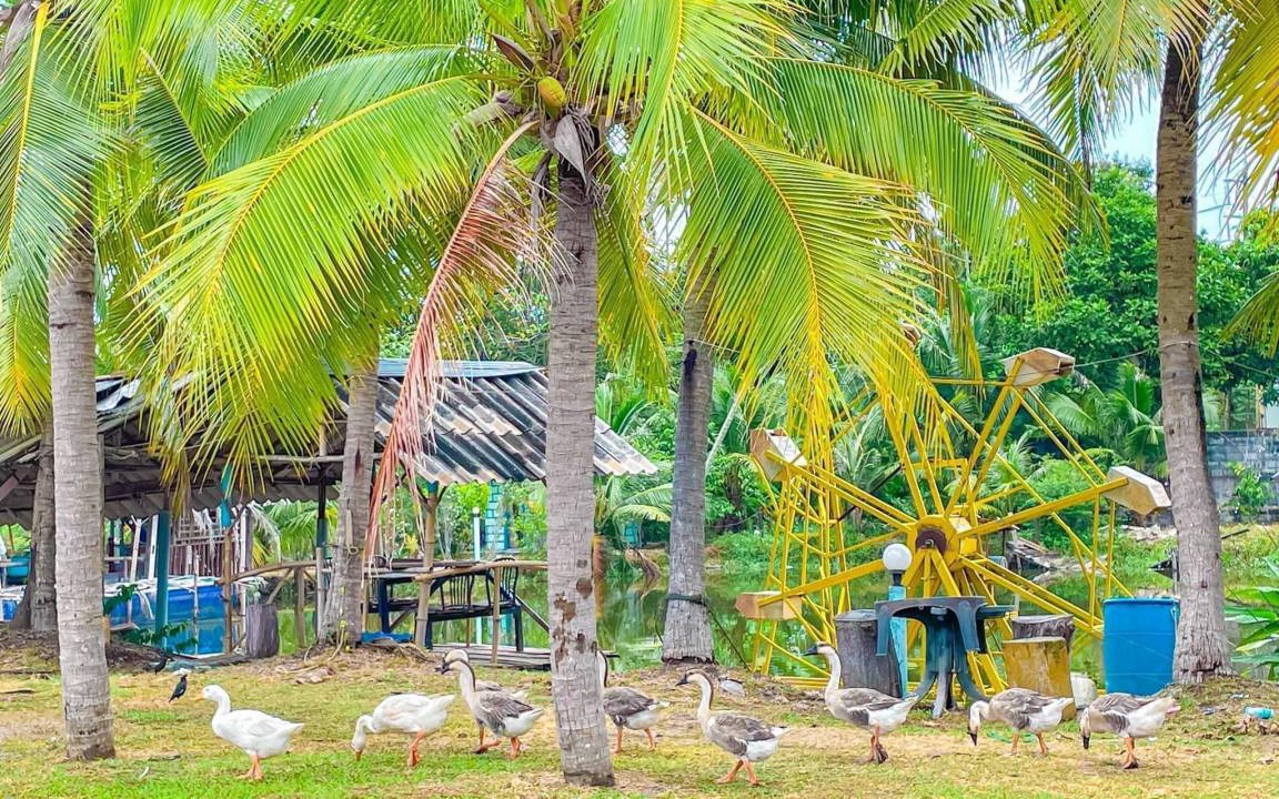Photo of Others in Rayong