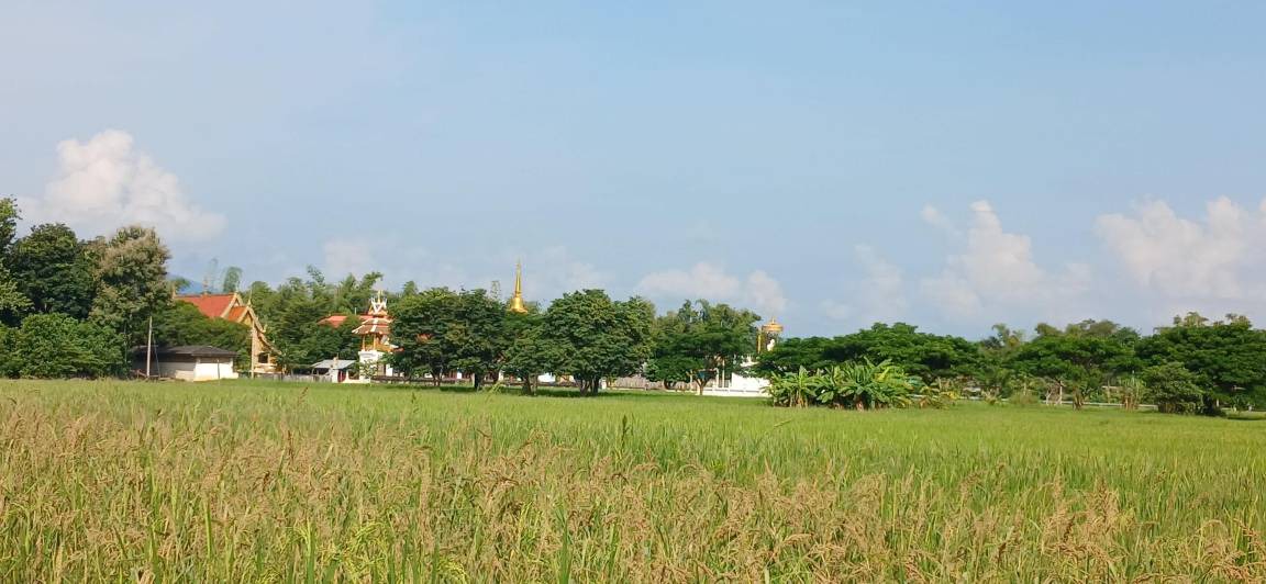 Photo of Others in Huai Sai