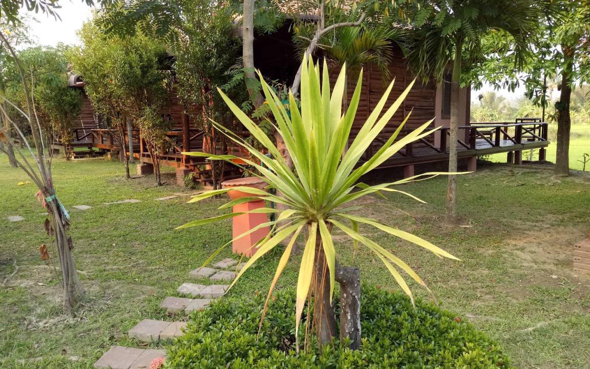 Photo of Others in Huai Sai