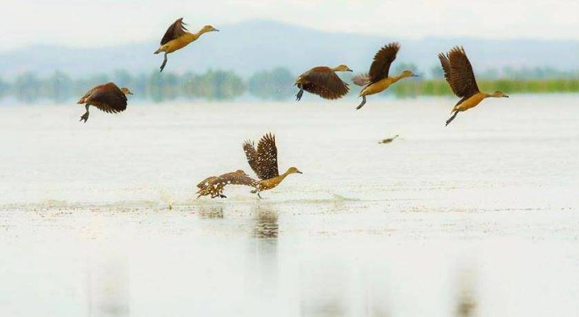Photo of Others in Sam Roi Yot