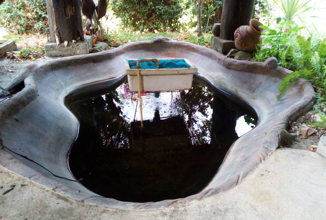 Photo of Others in Mae Rim