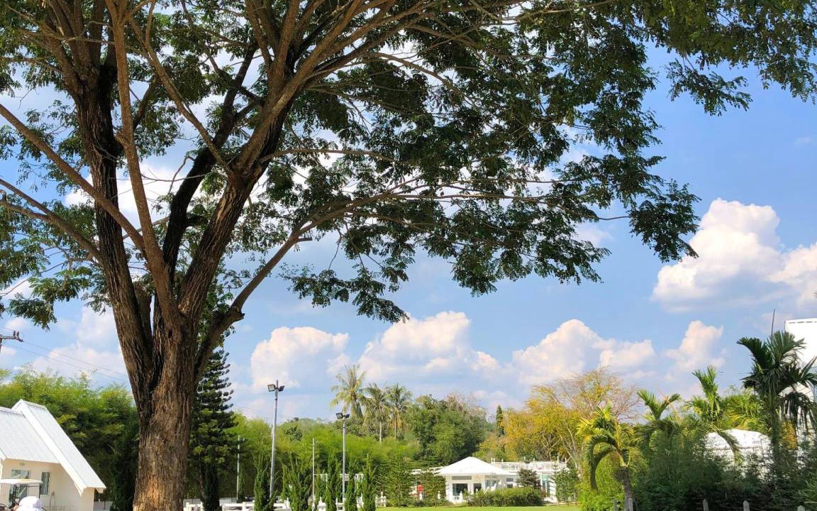 Photo of Others in Huai Sat Yai