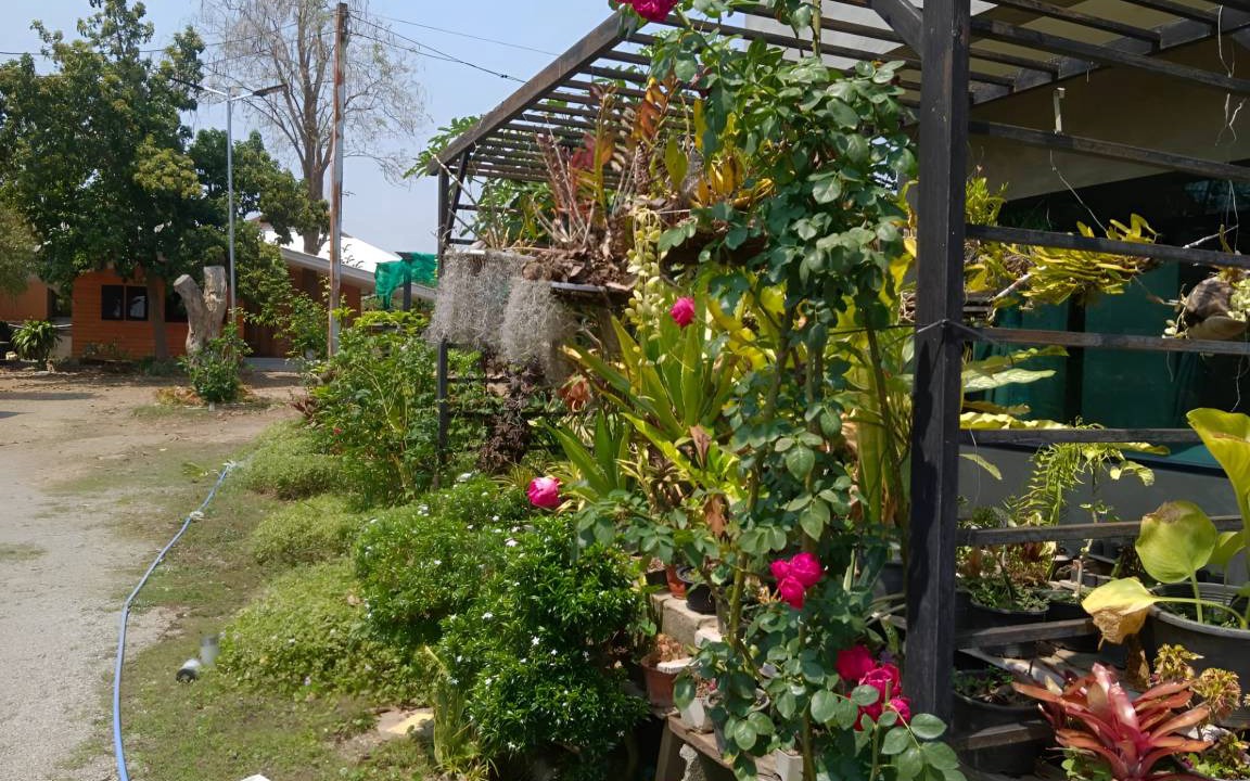 Photo of Outdoor in Pai