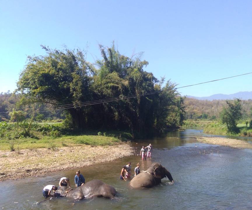 Photo of Others in Pai