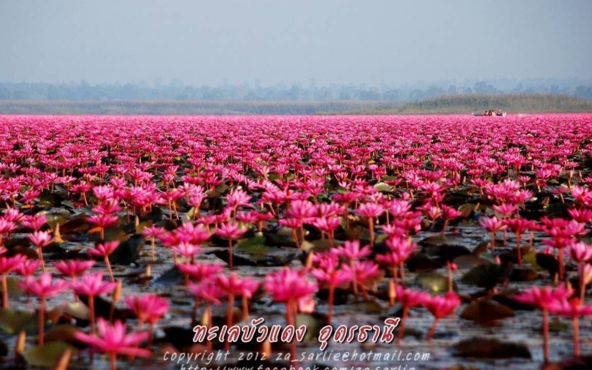 Photo of Others in Nong Han