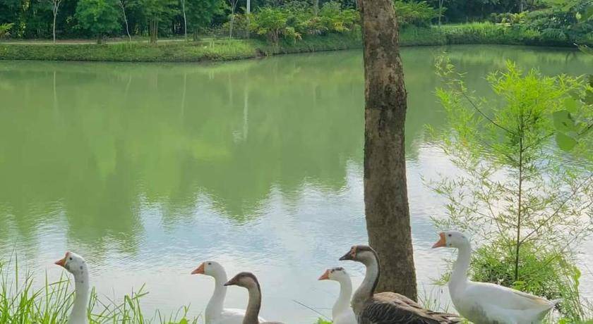 Photo of Others in Mae Chan