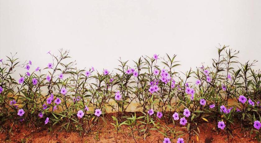 Photo of Others in Ban Chang