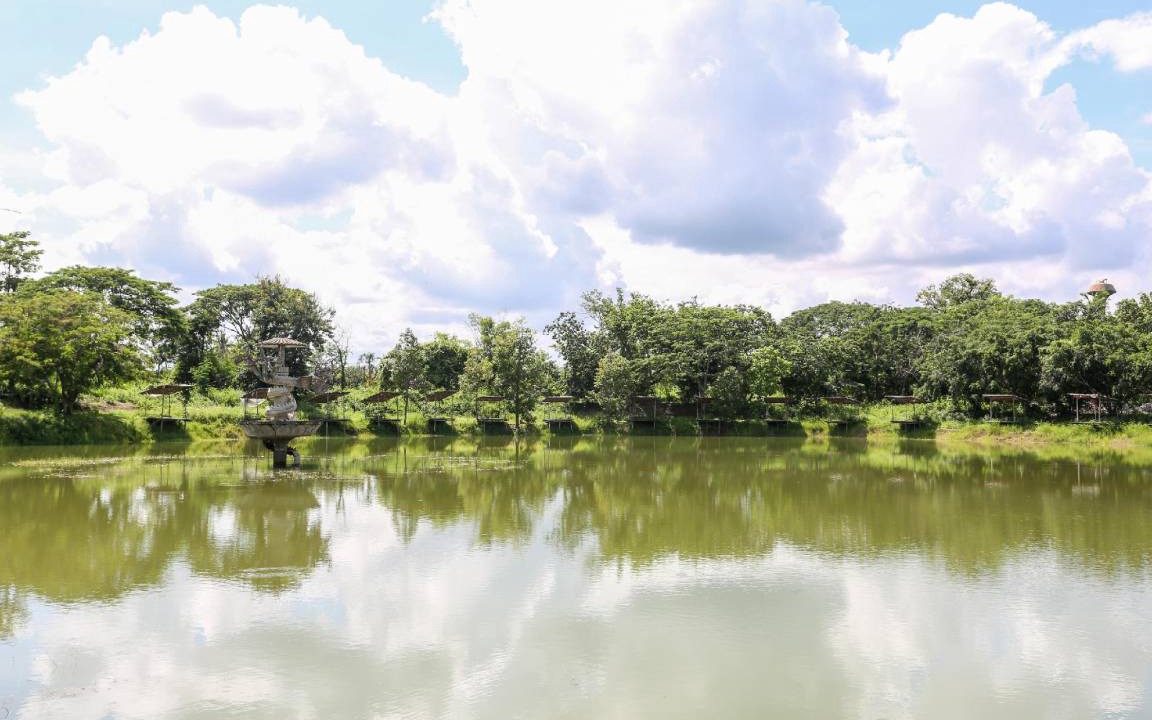 Photo of Outdoor in Hang Dong
