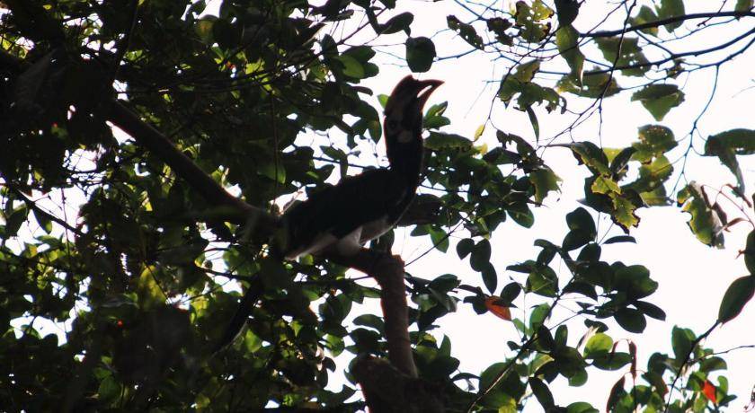 Photo of Others in Ranong