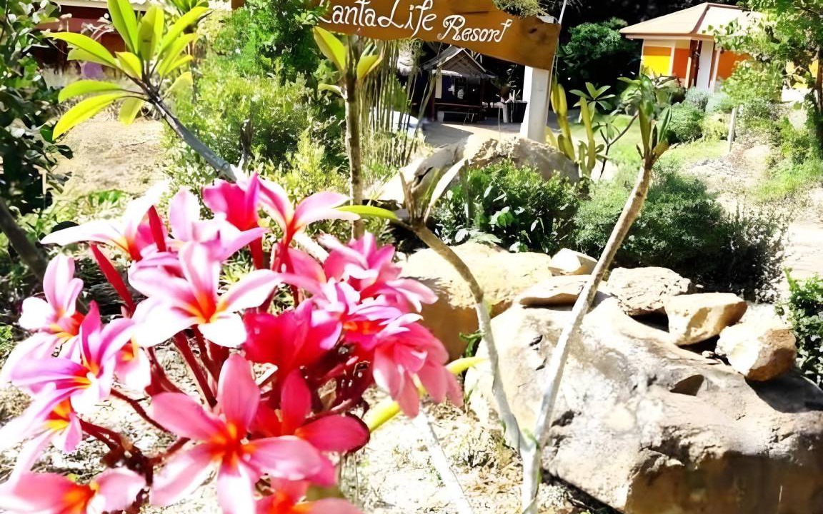 Photo of Others in Ko Lanta