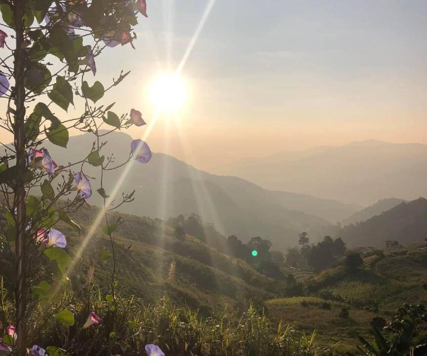 Photo of Others in Mae Rim