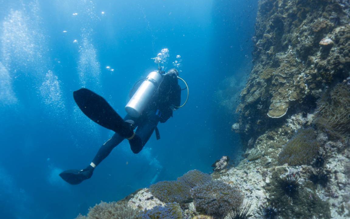 Photo of Others in Koh Tao