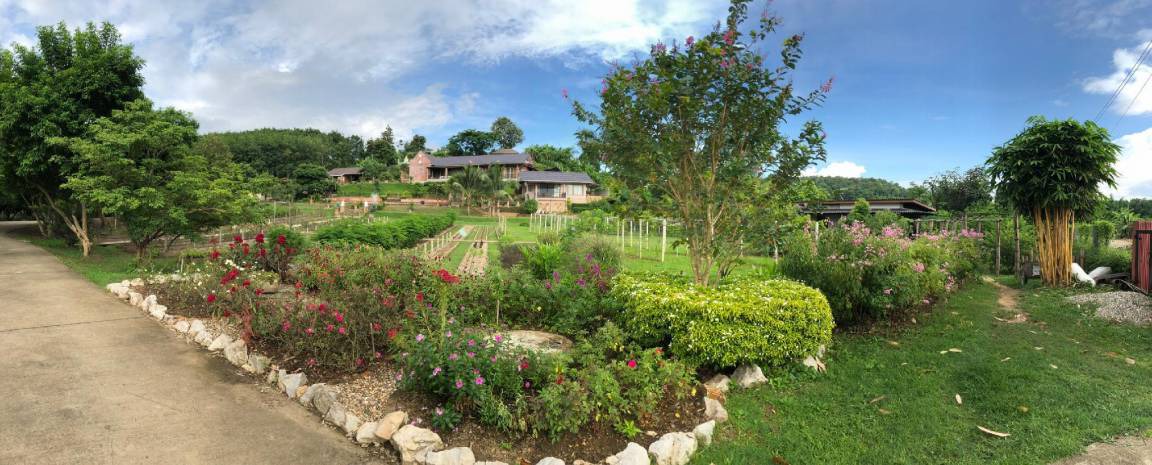 Photo of Others in Chiang Dao