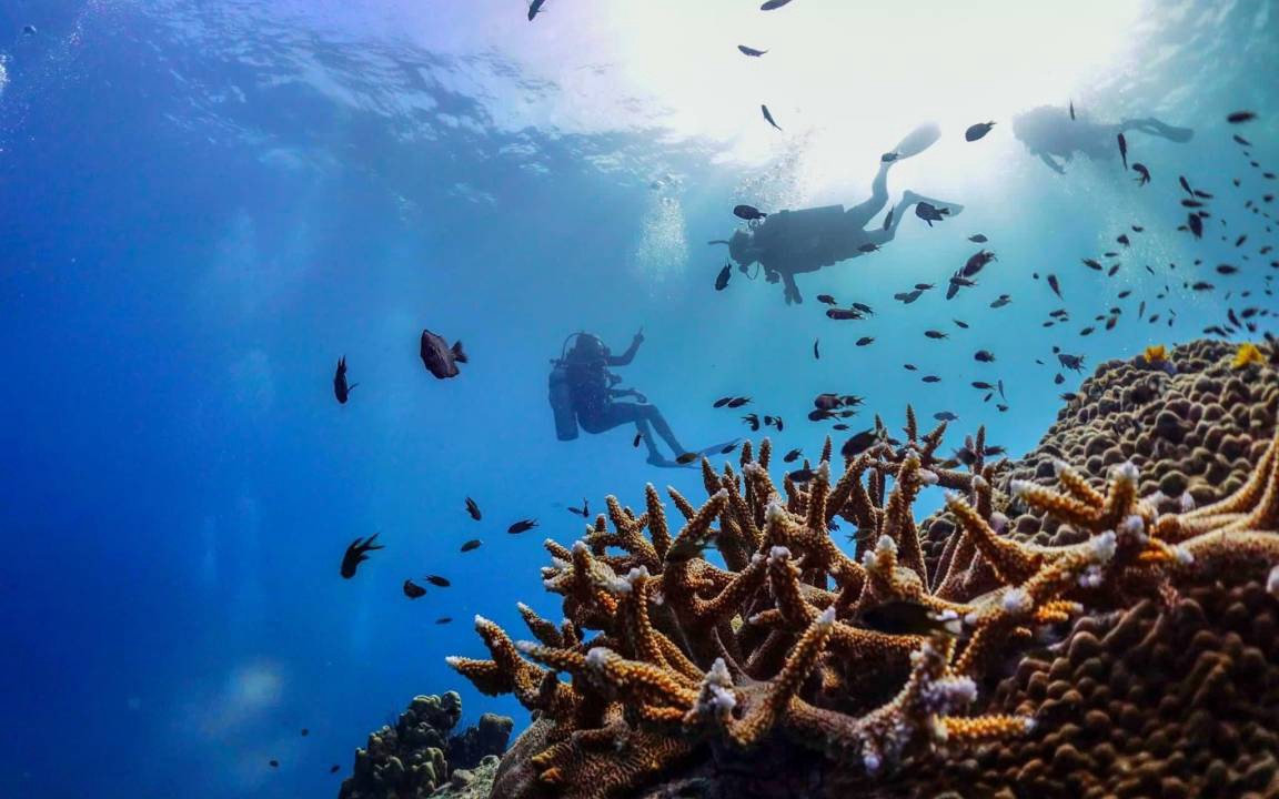 Photo of Others in Koh Tao