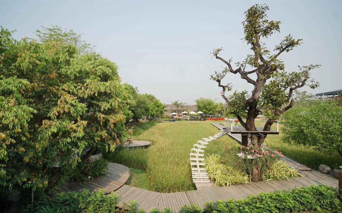 Photo of Outdoor in Hang Dong