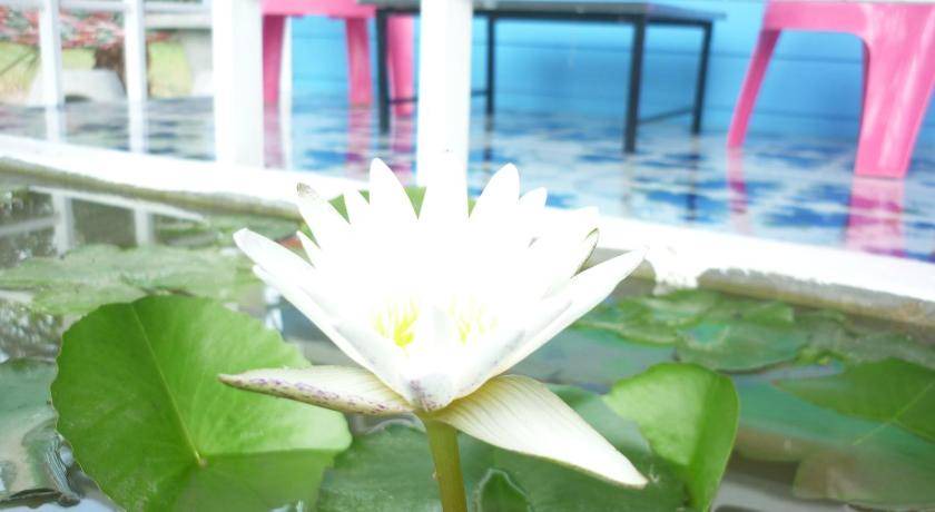 Photo of Others in Sam Roi Yot